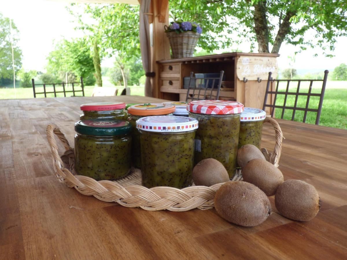 Bed and Breakfast Britavit Saint-Avit-Senieur Экстерьер фото