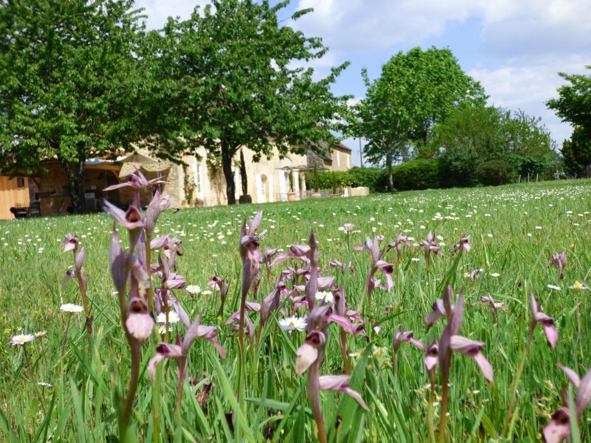 Bed and Breakfast Britavit Saint-Avit-Senieur Экстерьер фото