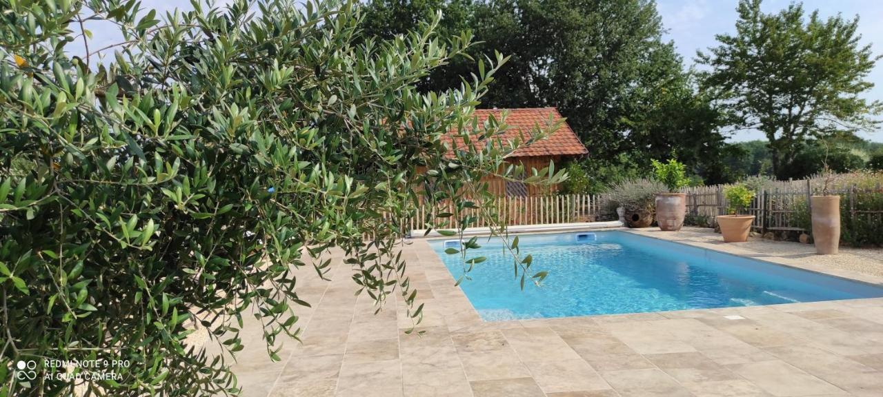 Bed and Breakfast Britavit Saint-Avit-Senieur Экстерьер фото