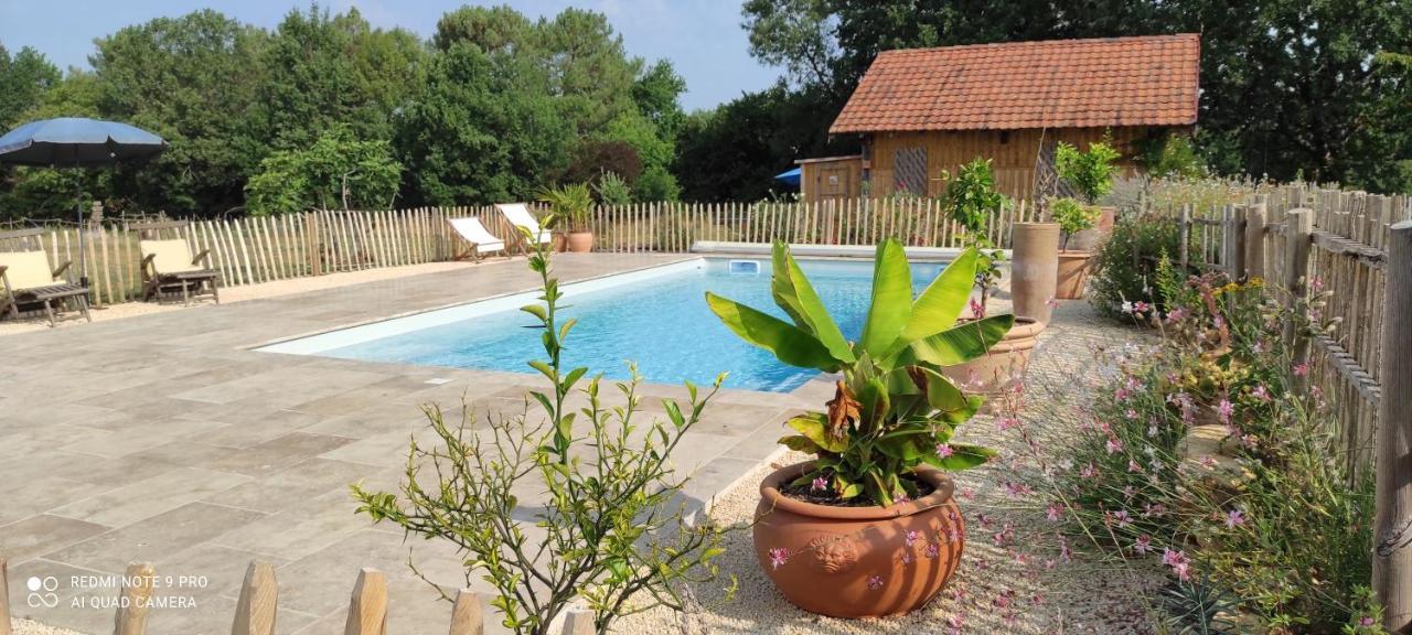 Bed and Breakfast Britavit Saint-Avit-Senieur Экстерьер фото